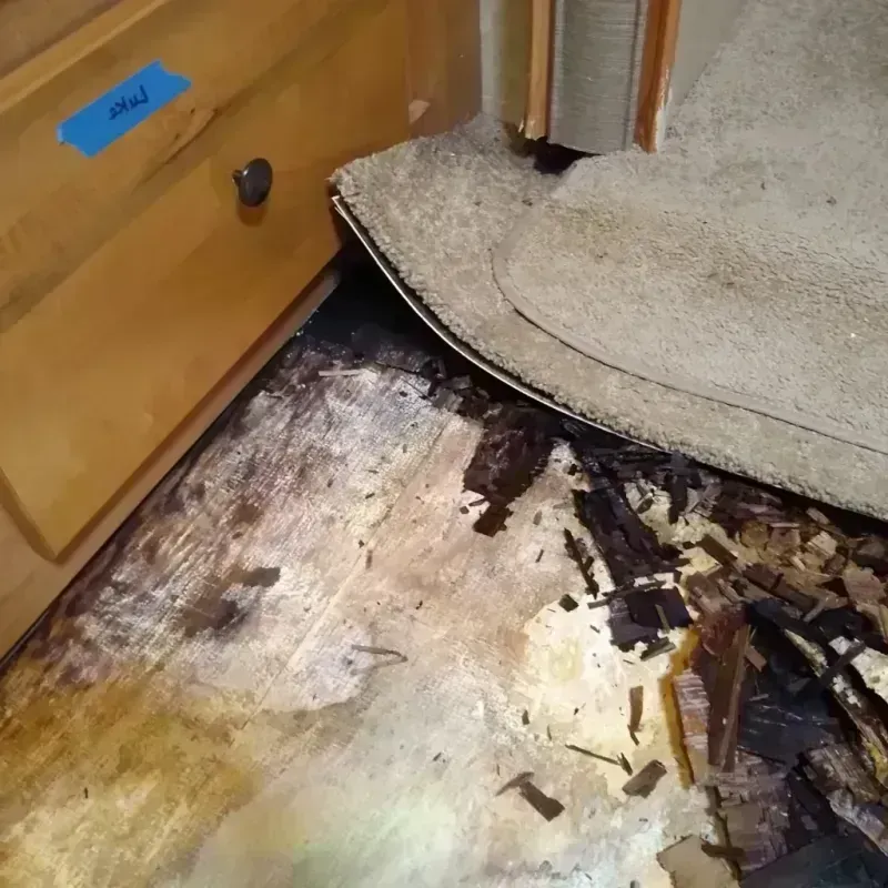 Best Wood Floor Water Damage Service in Clarion, IA